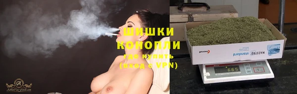 прущие грибы Алзамай