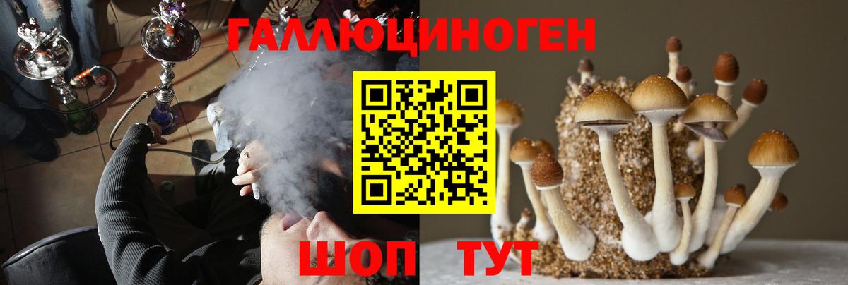 Балаково  что такое наркотик  Вход с VPN  Галлюциногенные грибы мицелий 